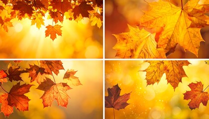 Autumnal Maple Leaves in Golden Light - A Seasonal Collage.