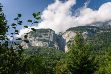 Majestic Swiss Alps mountain landscape with green forest and clouds