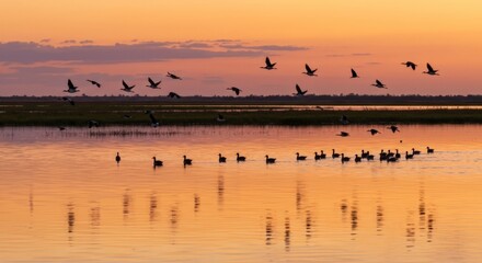 Sunset over Kakadu wetlands with birds flying over water
