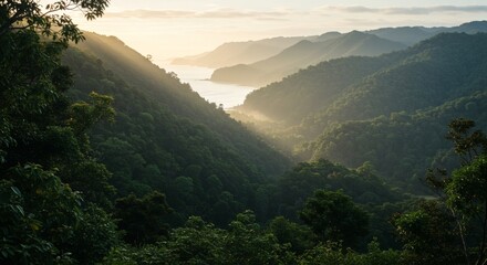 Scenic lookouts over coastal rainforest hills misty atmosphere
