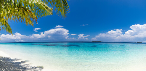 Tranquil tropical landscape. Relaxing paradise island beach sunlight blue sea sky palm leaves....