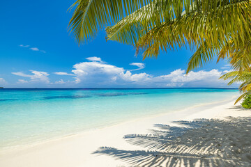 Tranquil tropical landscape. Relaxing paradise island beach sunlight blue sea sky palm leaves. White sand closeup on perfect summer vacation outdoors. Gorgeous nature view popular travel destination 