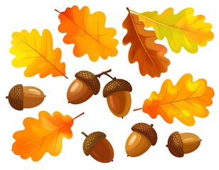 Autumnal Oak Leaves and Acorns - A Vibrant Seasonal Collection.