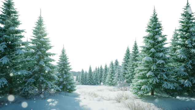 stunning winter snowy forest, isolated on transparent background