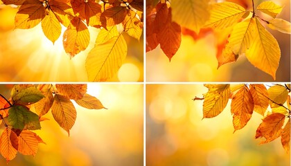 Autumn Leaves Collage - A Vibrant Display of Fall Colors.