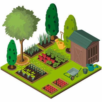 A vibrant isometric garden plot with a shed, wheelbarrow, and various plants.
