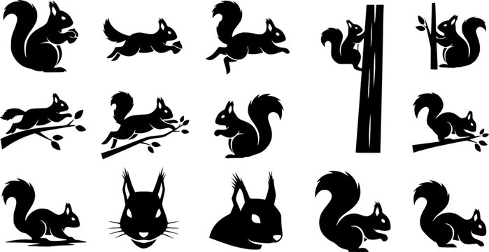  black and white  squirrel vector art silhouette vector 
