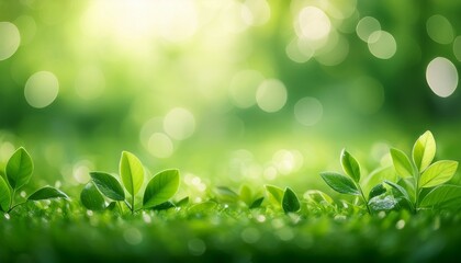 vibrant green bokeh background with soft natural light creating an abstract and serene nature backdrop