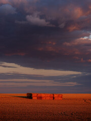 Hay bales in harvested field under dramatic sunset clouds
