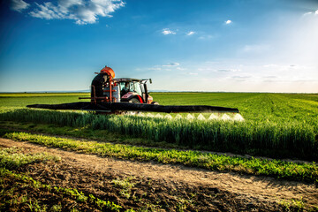 Tractor spraying crops in green agricultural field at sunset