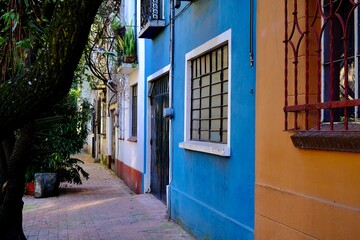 Narrow Residential Passage with Colorful Facades (Mexico City, Mexico)
