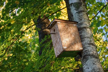 Wooden birdhouse made of plywood on a maple tree trunk.
