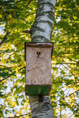 Wooden birdhouse made of plywood on a maple tree trunk.
