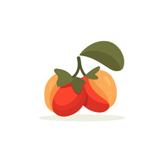 Ackee flat vector illustration in a modern and simple 2D style, placed on a white background.