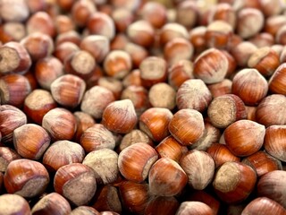 gros plan sur des noisettes chez un producteur bio