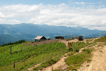 Elevated panoramic view of the vast, rolling green slopes of the Ukrainian Carpathians, with a traditional Hutsul shepherd's hut and wooden enclosures nestled on the mountain side,  dramatic sky