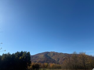 Autumn rural landscape with blue sunny sky