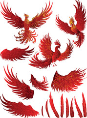 group of red phoenixes, wings and feathers isolated on white