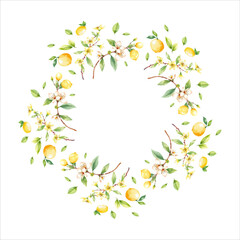 Watercolor lemon wreath with yellow and green tones arranged in a round frame, minimalist style, spring mood, isolated, vector