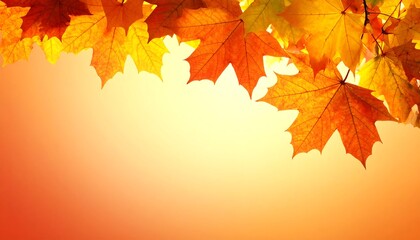 Fototapeta premium Autumn maple leaves create a warm and inviting seasonal background.