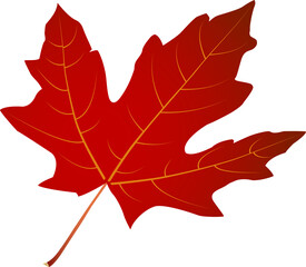 Red Maple Leaf Isolated Vector — 0°. Red maple leaf isolated vector for autumn and Canadian themed designs. Perfect for cards, stickers, crafts, print and digital projects. Includes EPS and JPEG