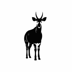 High quality okapi silhouette set featuring the rare african forest animal in clean vector style designed for posters prints logos and digital art projects