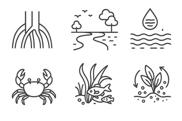 Marine Biology Icons. Line style icons of marine biology: mangrove roots, estuary zone, brackish water, mudflat crab, juvenile