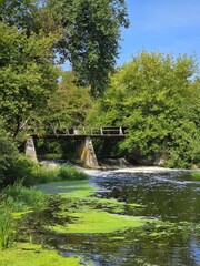 Stone bridge with river, vibrant summer foliage in yellows and greens. Blue sky, reflective water covered with algae. Natural landscape with flowing stream. Peaceful outdoor river scenery theme.

