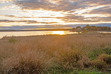 sunset over the field