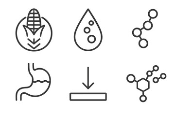 Nutrient Breakdown Icons. Line style icons of Nutrient Breakdown: carbohydrate breakdown, lipid droplet, amino acid chain,