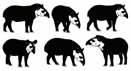 Minimal tapir silhouette set featuring standing and walking rainforest poses isolated on white background for modern wildlife design use