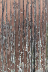 Old Weathered Wooden Door with Peeling Paint Texture