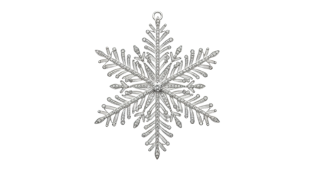 Elegant silver snowflake pendant with intricate design on black background