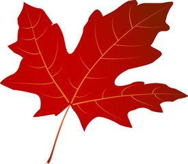 Red maple leaf with arc +25 effect — isolated vector for autumn design, stickers, cards, crafts and print projects. EPS + high-res JPEG included.