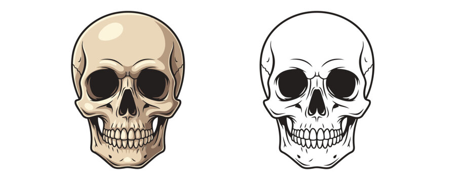 Stylized human skull illustration in a beige and brown cartoon style and a black outline drawing isolated on a white background for design element
