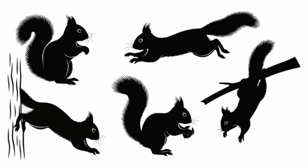 Naklejka premium Cute squirrel silhouette set showing sitting and nut holding poses isolated on white background for modern wildlife design use