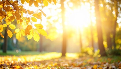 新緑 葉 木漏れ日 光 太陽 日差し 緑 黄緑 鮮やか 明るい 春 夏 森 自然 生命 輝き ボケ 爽やか 癒やし まぶしい