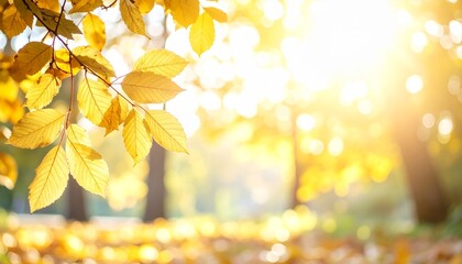 新緑 葉 木漏れ日 光 太陽 日差し 緑 黄緑 鮮やか 明るい 春 夏 森 自然 生命 輝き ボケ 爽やか 癒やし まぶしい