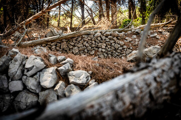 Old, stone drywall in the dried out pine tree forest on Cres island, Croatia