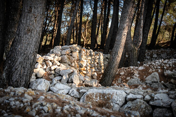Old, stone drywall in the dried out pine tree forest on Cres island, Croatia