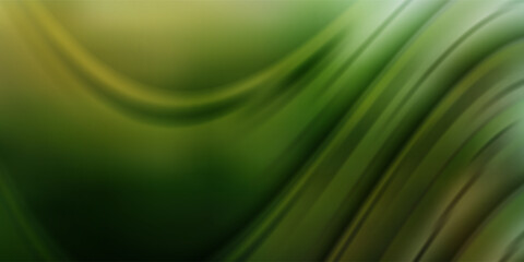 Closeup of dark green leaf with sunlight in garden and copy space for natural fresh greenery and botany background using cover page environment ecology wallpaper concept.