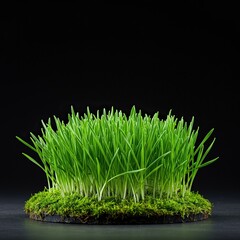 A vibrant patch of lush green, indicating new development and ongoing experimentation for optimal plant health and growth ,trial ,test ,health