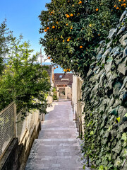 bright trail among orange trees, serene village pathway bordered by lush citrus and ancient stones
