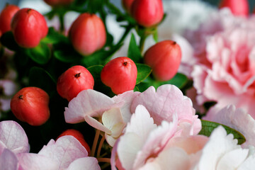 Macro shot of vibrant red hypericum berries with peach and pink carnations and white hydrangeas in a romantic floral bouquet
