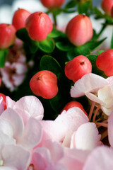 Macro shot of vibrant red hypericum berries with peach and pink carnations and white hydrangeas in a romantic floral bouquet
