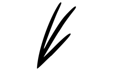 Minimalist Hand Drawn Three Blade Grass Doodle Vector Element