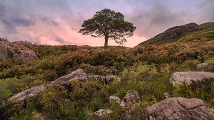 A hike along Loch Maree during early Scottish morning in Furnace, Achnasheen, UK