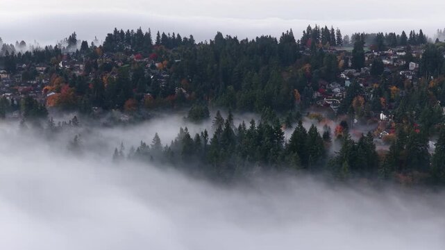 Dawn illuminates fog as it drifts across a Pacific Northwest landscape near Portland, Oregon. Fog forms when moist air cools to its dew point, causing water vapor to condense.