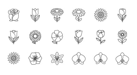 Collection of simple, linear, outline flower illustrations, including roses, tulips, daisies, and orchids, with editable strokes, suitable for web, books, cards, and apps, presented as vector cartoon