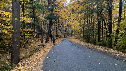 Man Walking down Country Road in the Fall